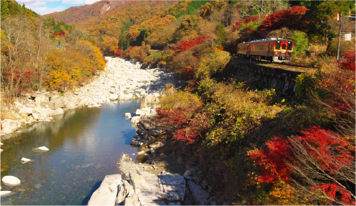 群馬県桐生市の自然環境と地理的条件